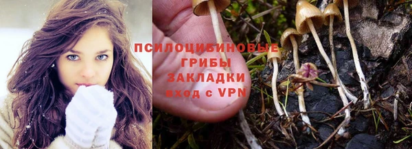 ГАЛЛЮЦИНОГЕННЫЕ ГРИБЫ Алзамай