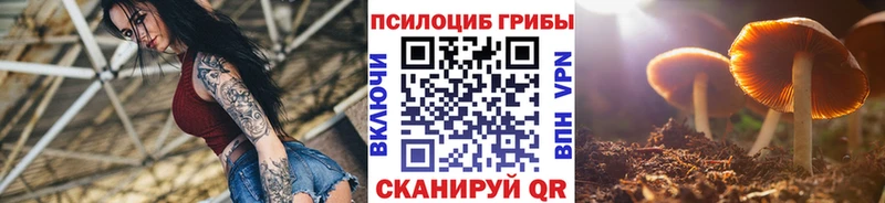 Галлюциногенные грибы Psilocybine cubensis  сколько стоит  Ардон 